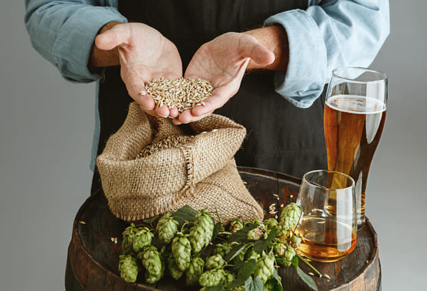 Equipamentos Para Cervejaria Artesanal — Veja Os Utensílios Indispensáveis