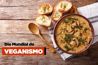 Aprenda a preparar um delicioso Strogonoff de Palmito