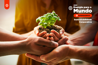 7 dicas para tornar a sua empresa mais sustentável